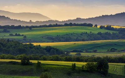 Sprawdź nowe zastosowanie pomp w rolnictwie