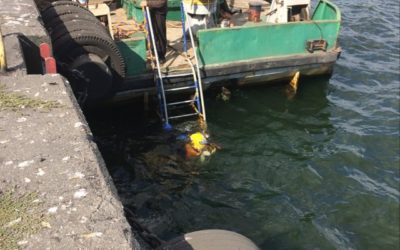 Czyszczenie nabrzeża – Toyo DP 50 BL w akcji!