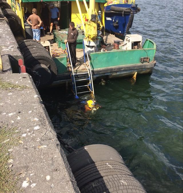 Czyszczenie nabrzeża – Toyo DP 50 BL w akcji!