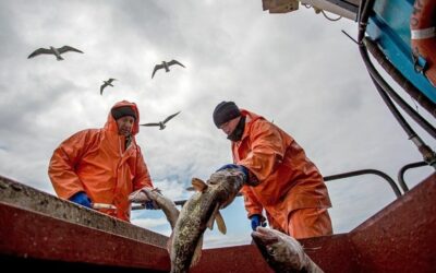 Nowości w zastosowaniach – elektryczna pompa zatapialna!